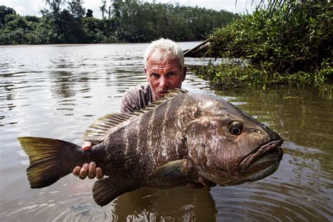 jeremy wade river monsters.
